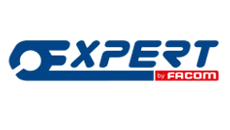 pastorino-expert-logo